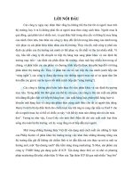 Luận văn  phân tích khúc thị trường của nhãn hiệu dầu gội đầu “x men” một điển hình của sự thành công dựa trên nguyên lý kinh doanh thành công dựa trên sự khác biệt 