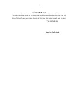 An toàn tài chính của các ngân hàng thương mại cổ phần niêm yết ở việt nam 