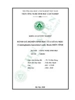 Đánh giá độ bền sinh học của gỗ sa mộc cunninghamia lanceolata lamb hook biến tính 