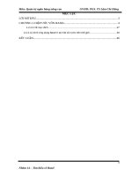 Đề tài tìm hiểu về basel 