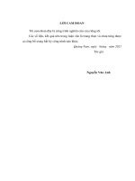 THỰC HIỆN CHÍNH SÁCH bảo HIỂM xã hội bắt BUỘC đối với NGƯỜI LAO ĐỘNG ở DOANH NGHIỆP TRÊN địa bàn HUYỆN NAM GIANG, TỈNH QUẢNG NAM 