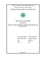 Nghiên cứu công nghệ FPGA và phát triển ứng dụng trên hệ thống CIC 310 