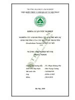 Nghiên cứu ảnh hưởng của giá thể đến sự sinh trưởng của cây hoa lan trầm tím dendrobium nestor nuôi cấy mô 