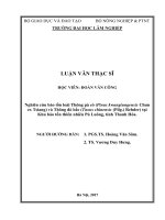 Luận văn thạc sĩ nghiên cứu bảo tồn loài thông pà cò (pinus kwangtungensis chun ex tsiang) và thông đỏ bắc (taxus chinensis (pilg ) rehder) tại khu bảo tồn thiên nhiên pù luông, tỉnh thanh hóa​ 