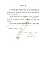 Sưu tập mô hình sản phẩm mộc tủ ô kéo kiểu “high boy” và nghiên cứu phân tích cấu trúc tạo hình của một sản phẩm đại diện được lựa chọn 