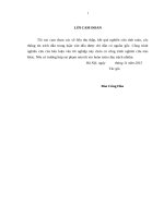Đánh giá biến đổi khí hậu trong lịch sử thông qua các chỉ tiêu vật lý của vòng năm cây thông nhựa ở tỉnh quảng bình và cây pơ mu ở tỉnh lào cai​ 