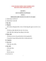 Giáo án lớp 1 môn hoạt động trải nghiệm bộ sách chân trời sáng tạo