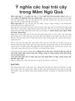 Y nghia cac loai trai cay trong Mam Ngu Qua