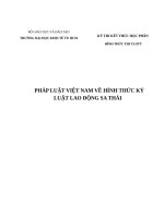 PHÁP LUẬT VIỆT NAM về HÌNH THỨC kỷ LUẬT LAO ĐỘNG SA THẢI