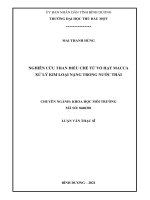 Nghiên cứu than điều chế từ vỏ hạt macca xử lý kim loại nặng trong nước thải 
