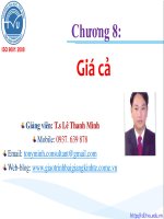 Bài giảng Marketing quốc tế: Chương 8 - TS. Lê Thanh Minh