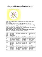CHON TUOI XONG NHA NAM 2013 QUY TY
