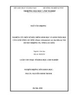 Nghiên cứu một số đặc điểm sinh học và sinh thái học của loài sâm lai châu (panax vietnamensis var  fuscidiscus) tại huyện mường tè, tỉnh lai châu​ 