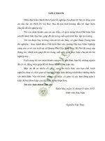 Nghiên cứu đề xuất chế độ sấy vầu dạng thanh trong lo sấy tự động để sản xuất tăm hương xuất khẩu 