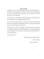 Nâng cao hiệu quả chiến lược marketing cho sản phẩm bảo hiểm xe cơ giới của công ty bảo hiểm bưu điện PTI bình dương (giai đoạn 2016   2018) 