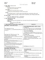 tuan 26 20122013 full