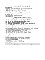 chu de tet va mua xuan tuan 2