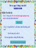 LTVC tuan 28