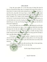 Nghiên cứu chiến lược marketing mix tại công ty cổ phần xây dựng và kinh doanh thương mại bảongọc 