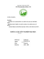 Nghiên cứu ảnh hưởng của một số giá thể đến sinh trưởng phát triển và chất lượng của giống dưa lê hồng kim (PN 888) tại trường đại học nông lâm thái nguyên 