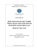 Định tội danh tội giết người trong trạng thái tinh thần bị kích động mạnh theo luật hình sự việt nam (luận văn thạc sĩ luật học) 