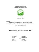 Nghiên cứu ảnh hưởng của một số giá thể đến sinh trưởng, phát triển của cà chua tại trường đại học nông lâm thái nguyên 