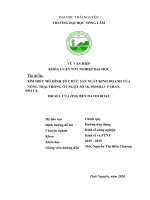 Tìm hiểu mô hình tổ chức sản xuất kinh doanh của nông trại trồng ớt số 18, moshav faran, arava, israel của ông ben david boaz 