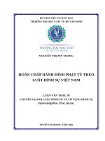 Hoãn chấp hành hình phạt tù theo luật hình sự việt nam (luận văn thạc sĩ luật học) 
