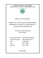 Nghiên cứu chiến lược marketing của công ty cổ phần dịch vụ và địa ốc đất xanh miền bắc 