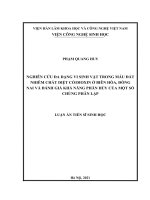 Luận án tiến sĩ nghiên cứu đa dạng vi sinh vật trong mẫu đất nhiễm chất diệt cỏ dioxin ở biên hòa, đồng nai và đánh giá khả năng phân hủy của một số chủng phân lập 