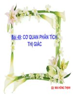 Co quan phan tich thi giac