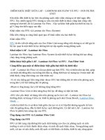 ĐIỂM KHÁC BIỆT GIỮA LAF VÀ FFU