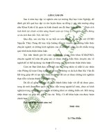 Phân tích tình hình tài chính và khả năng thanh toán tại công ty CP truyền thông và du lịch bản sắc việt hà nội 