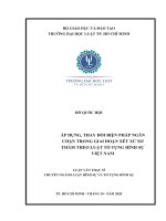 Áp dụng, thay đổi biện pháp ngăn chặn trong giai đoạn xét xử sơ thẩm theo luật tố tụng hình sự việt nam (luận văn thạc sĩ luật học) 