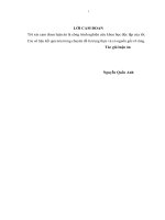 Luận án tiến sĩ an toàn tài chính của các ngân hàng thương mại cổ phần niêm yết ở việt nam 