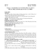 tuan 16 sinh 7 tiet 31