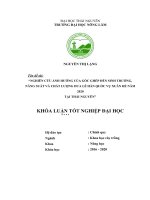 Tìm hiểu quy trình kỹ thuật sản xuất cây hành lá (hành negi) công nghệ cao tại công ty sohachi, tỉnh akita, nhật bản 