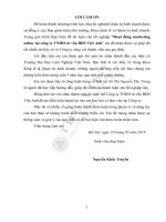 Hoạt động marketing online tại công ty TNHH tư vấn bđs việt anh 