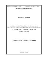 Đánh giá sinh trưởng và khả năng nhân giống bằng hom của các dòng vô tính bạch đàn e urophylla và bạch đàn lai e urophylla x e pellita tại ba vì hà nội 