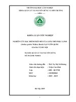 Nghiên cứu đặc điểm phân bố của loài thổ phục linh smilax grabra wall ex roxb tại vườn quốc gia ba vì hà nội 