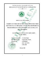 Nghiên cứu phân bố sự biến động hình thái theo độ tuổi của cá thể vooc cát bà trachypithecus poliocephalus tại vườn quốc gia cát bà cát hải hải phòng 