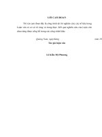 (Luận văn thạc sĩ) thực hiện chính sách an sinh xã hội đối với người yếu thế tại trung tâm bảo trợ xã hội quảng nam 