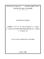 Nghiên cứu một số đặc điểm lâm học của loài dẻ anh castanopsis piriformis hickel  a camus tại lâm đồng 