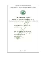Nghiên cứu tổng hợp than hoạt tính từ cây mai dương và ứng dụng vào xử lý ô nhiễm nước 