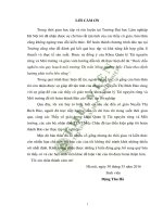 Bước đầu nghiên cứu quy hoạch môi trường thị trấn nông trường mộc châu theo định hướng phát triển bền vững 