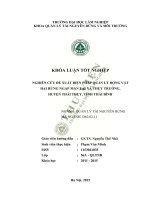 Nghiên cứu đề xuất biện pháp quản lý động vật hại rừng ngập mặn tại xã thụy trường huyện thái thụy tỉnh thái bình 
