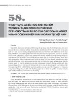 Thực trạng và bài học kinh nghiệm trong sử dụng công cụ phái sinh để phòng tránh rủi ro của các doanh nghiệp ngành công nghiệp khai khoáng tại Việt Nam