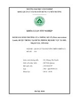 Đánh giá sinh trưởng của thông mã vĩ pinus massoniana lamb được trồng tại rừng phòng hộ khu vực xà hồ trạm tấu yên bái 