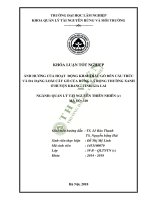 Ảnh hưởng của hoạt động khai thác gỗ đến cấu trúc và đa dạng loài cây gỗ của rừng lá rộng thường xanh ở huyện kbang tỉnh gia lai 