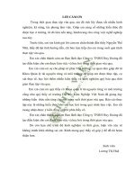 Nghiên cứu đề xuất giải pháp nâng cao hiệu quả quản lí môi trường của công ty TNHH huy hoàng thành phố lạng sơn 